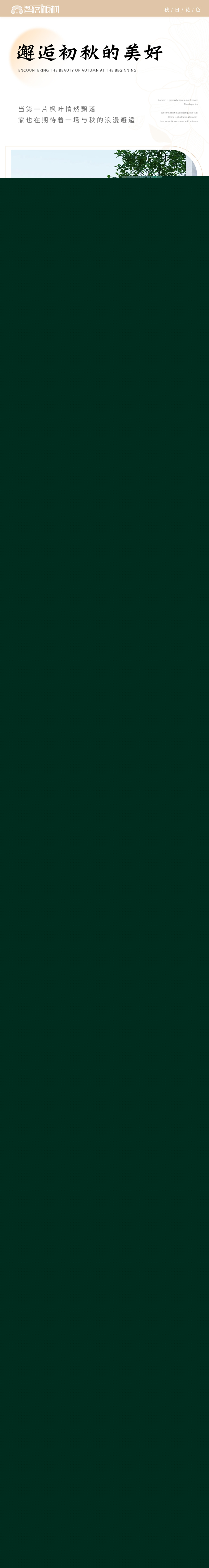 44444444444.jpg